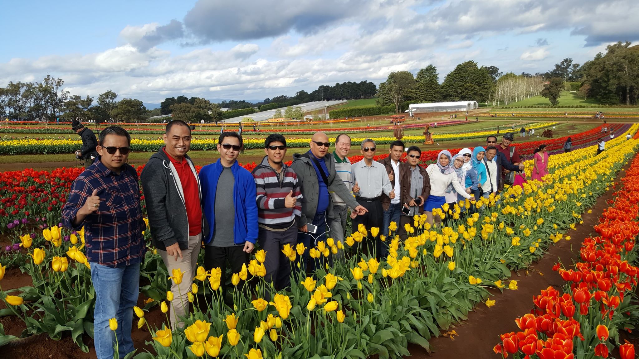 TESSELAAR TULIP FESTIVAL